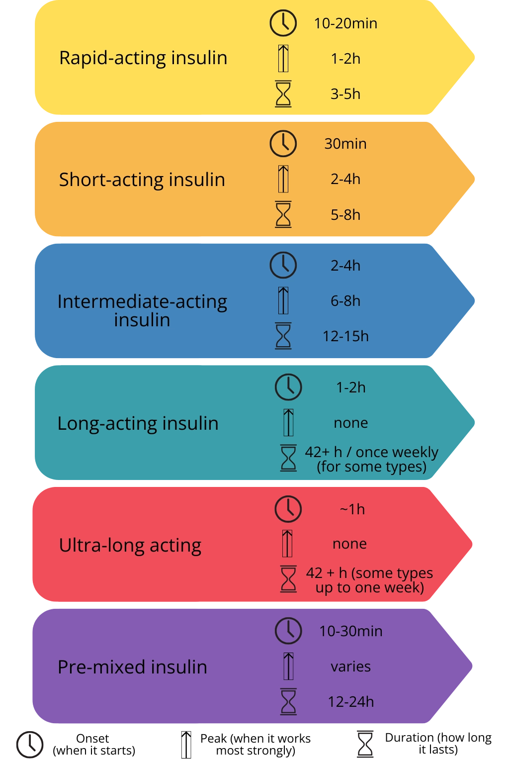 hart showing types of insulin with onset, peak, and duration times.