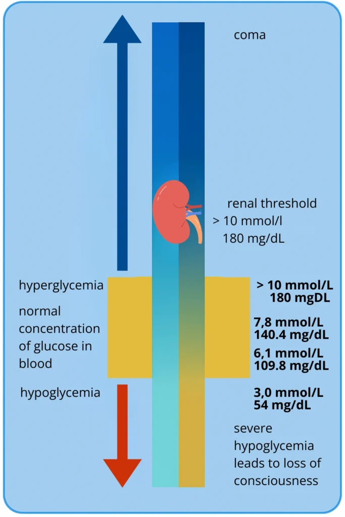 Blood glucose level chart showing hypoglycemia, normal range, hyperglycemia, and renal threshold.