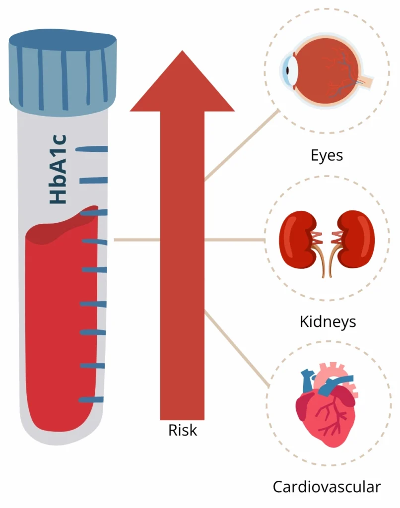 Illustration showing elevated HbA1c levels and damage to organs including the eyes, kidneys, and heart.