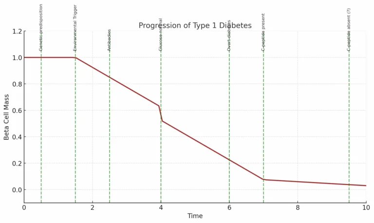 Graph showing the progression of type 1 diabetes over time, with declining beta cell mass and key disease milestones.