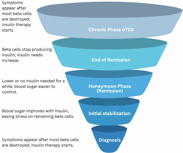Funnel diagram showing the five phases of type 1 diabetes progression from diagnosis to chronic phase.